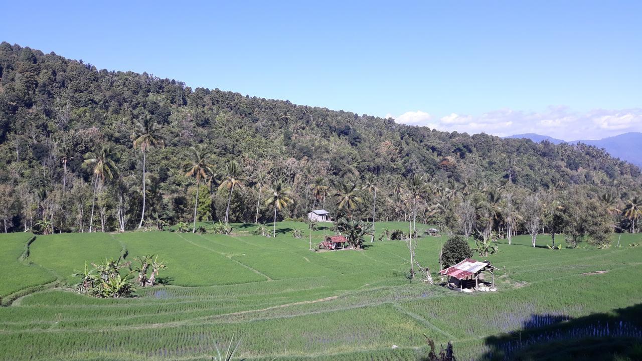 Bagus Beach Resort Lovina Buleleng  Exterior photo